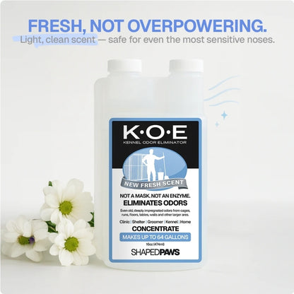 Pet Odour & Stain Eliminator
