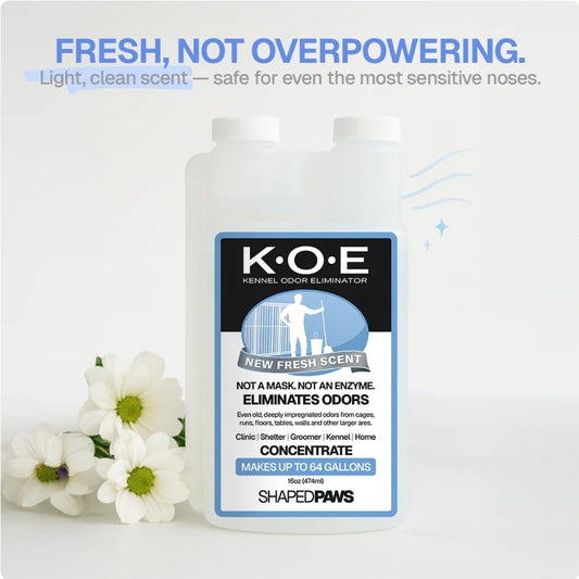 Pet Odour & Stain Eliminator